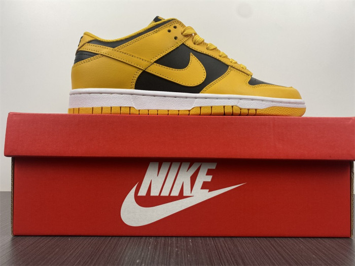 nike dunk low G01denrod (2021) dd1391-004
