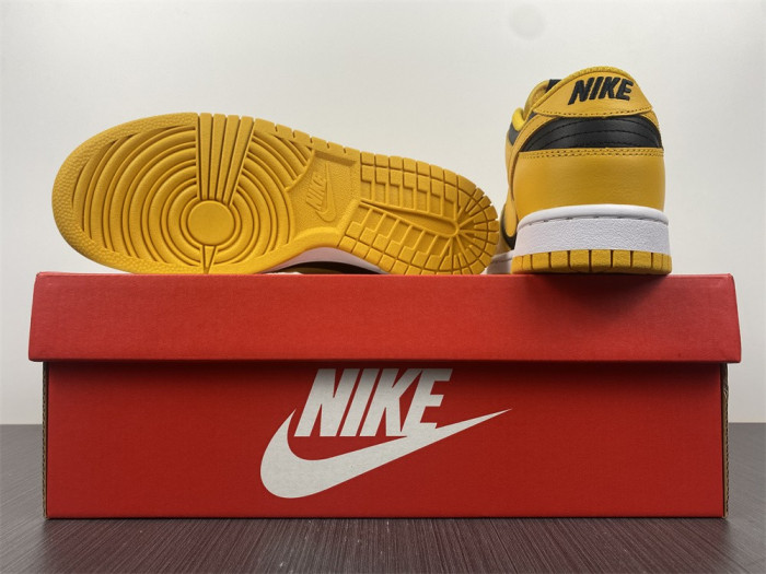 nike dunk low G01denrod (2021) dd1391-004