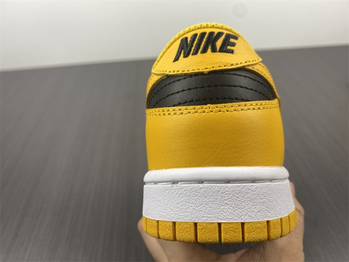 nike dunk low G01denrod (2021) dd1391-004