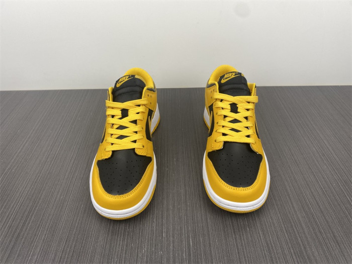 nike dunk low G01denrod (2021) dd1391-004